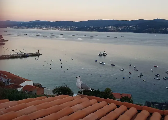 別荘 - Playa Areas *